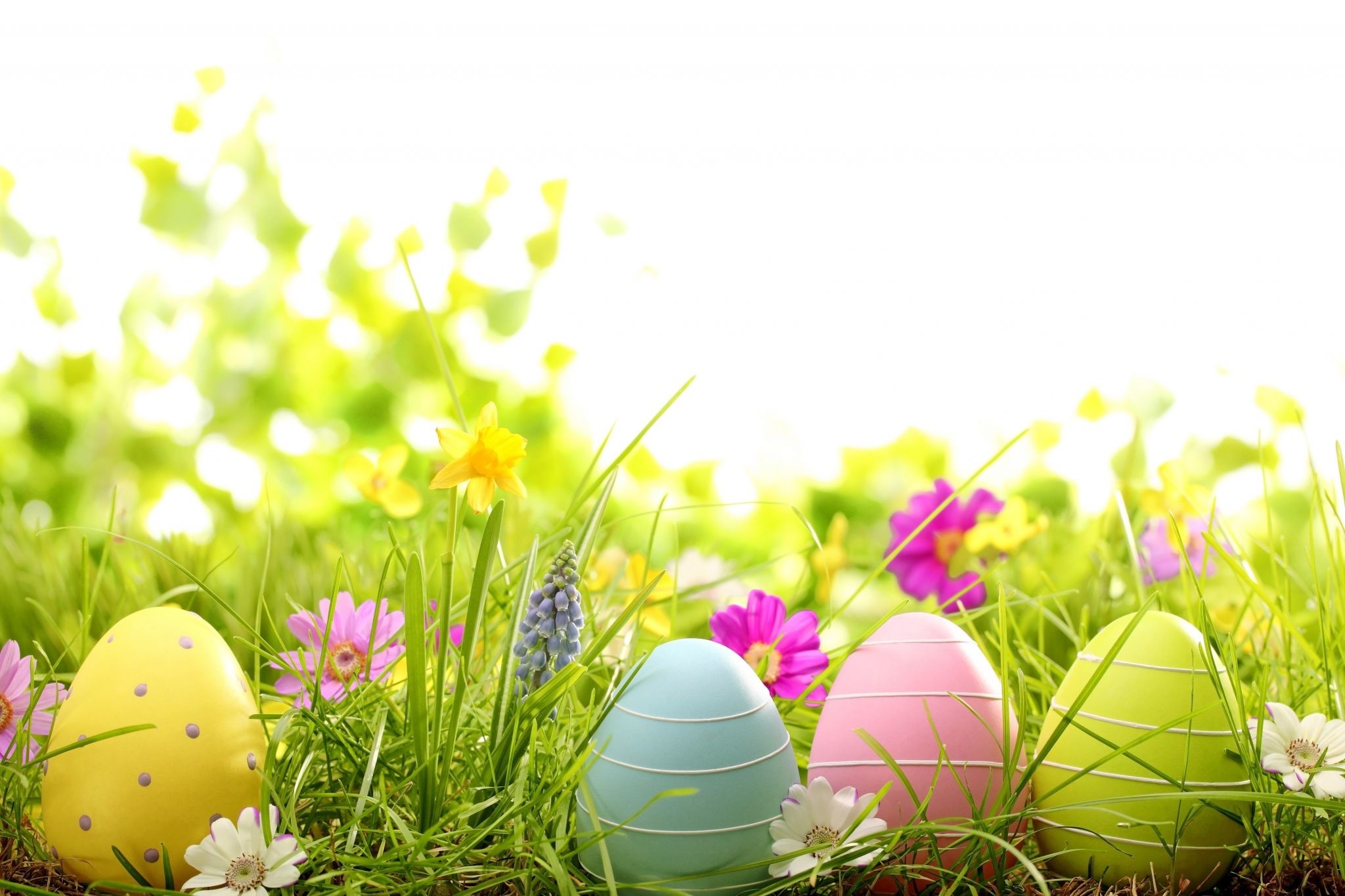 2048x1365, Spring Free Wallpapers Themed 
 Data Id - Spring Flowers And Easter Eggs - HD Wallpaper 