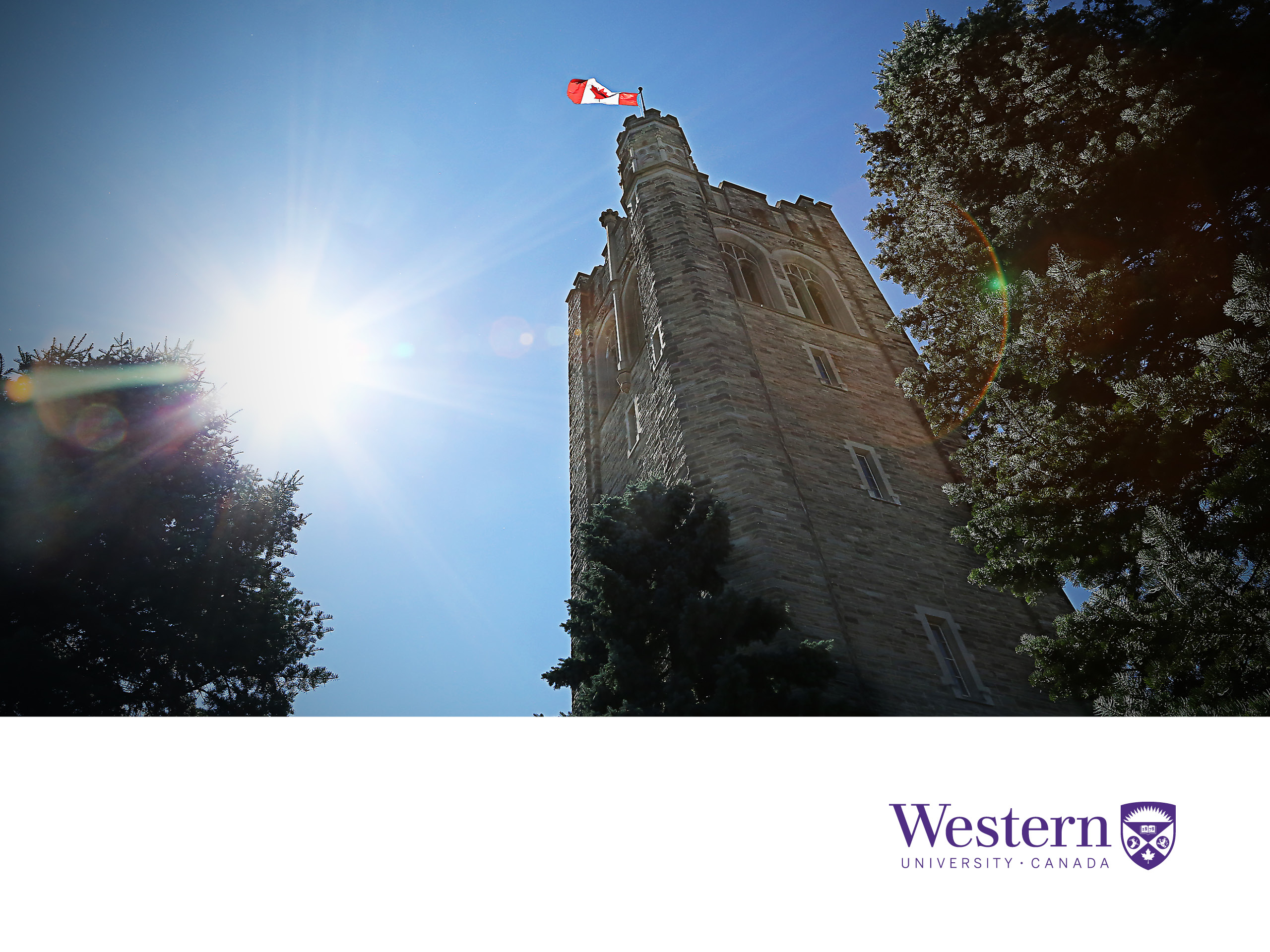November - Western University Desktop Background - HD Wallpaper 