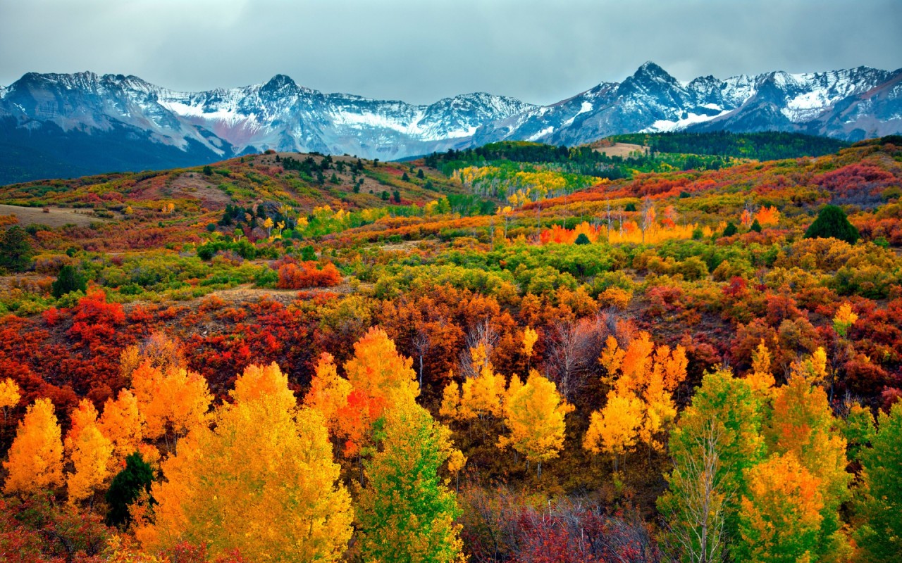 Excellent Autumn Wood & Peaks Wallpapers - HD Wallpaper 