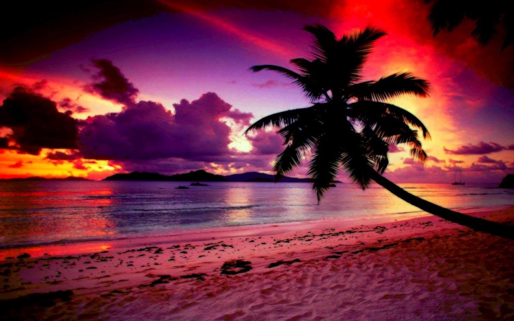 Top Most Wallpapers - Most Walpaper - HD Wallpaper 