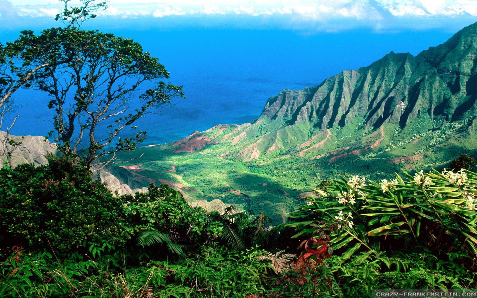 1920x1200, Free Hawaii Screensavers Wallpaper 1920ã1080 - Kalalau Valley - HD Wallpaper 