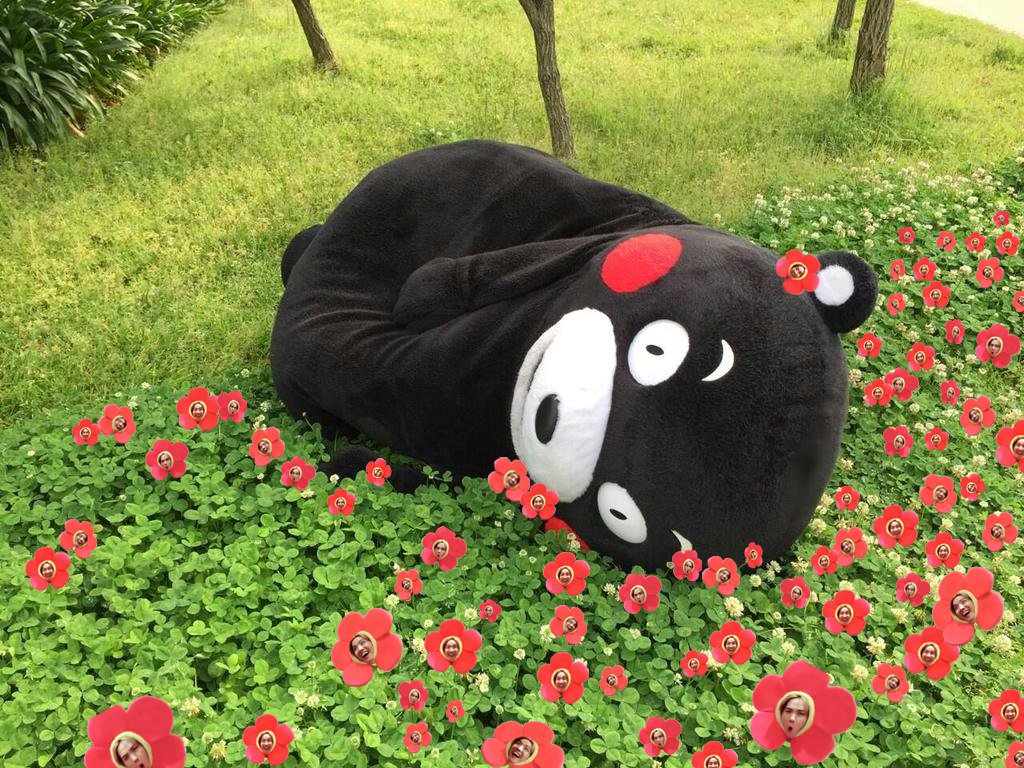 Kumamon With Flowers - HD Wallpaper 