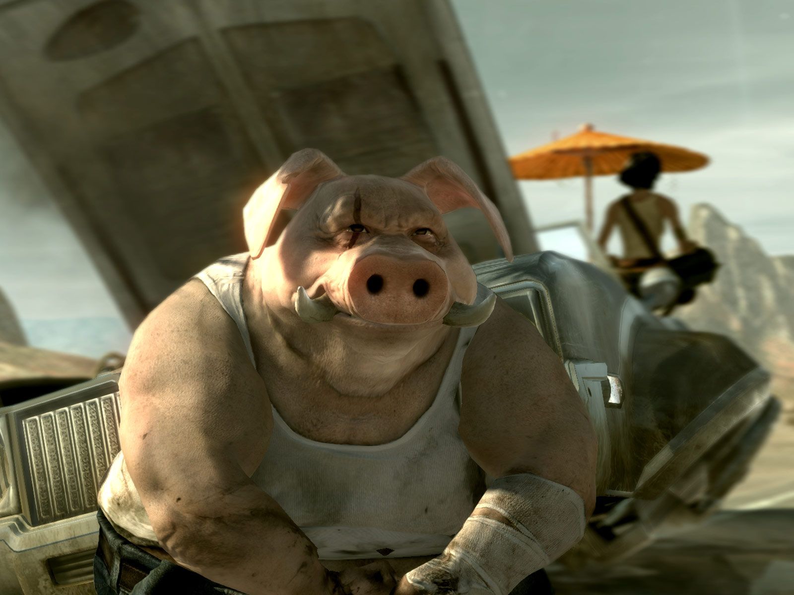 Good Computer Wallpapers Wallpaper - Beyond Good & Evil 1 - HD Wallpaper 