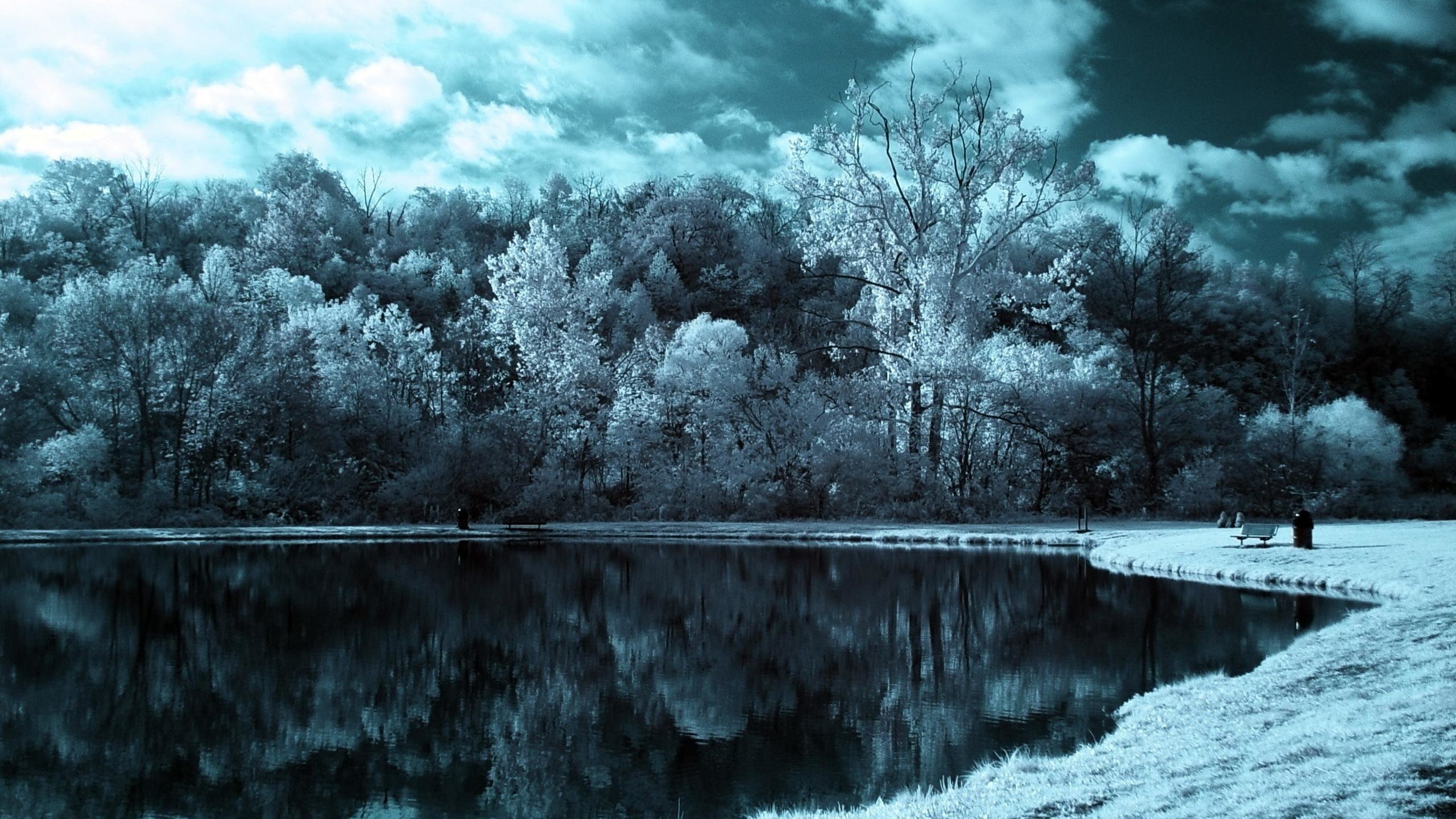 Free Cool Nature High Quality Wallpaper Id - Lake Background Black And White - HD Wallpaper 