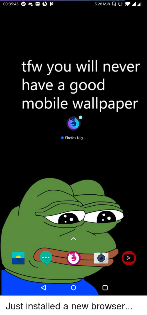 Pepe The Frog Summer - HD Wallpaper 