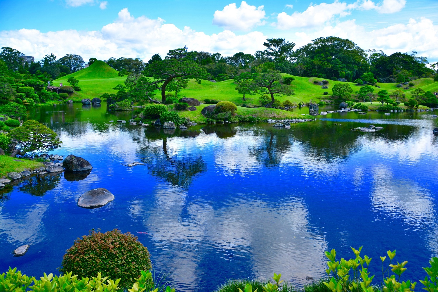 Reflection - HD Wallpaper 