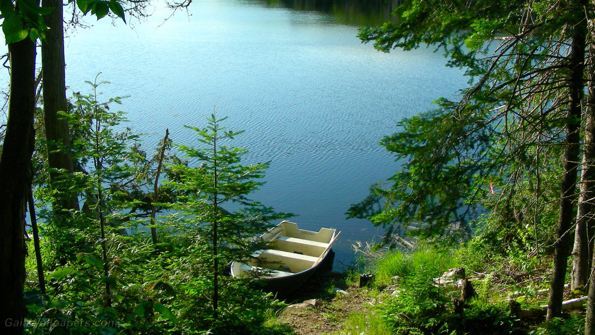 Beginning Of A Good Fishing Day - Fond D Écran Pêche - HD Wallpaper 