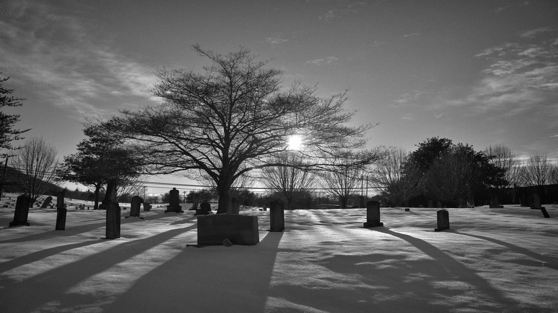 Monochrome - HD Wallpaper 