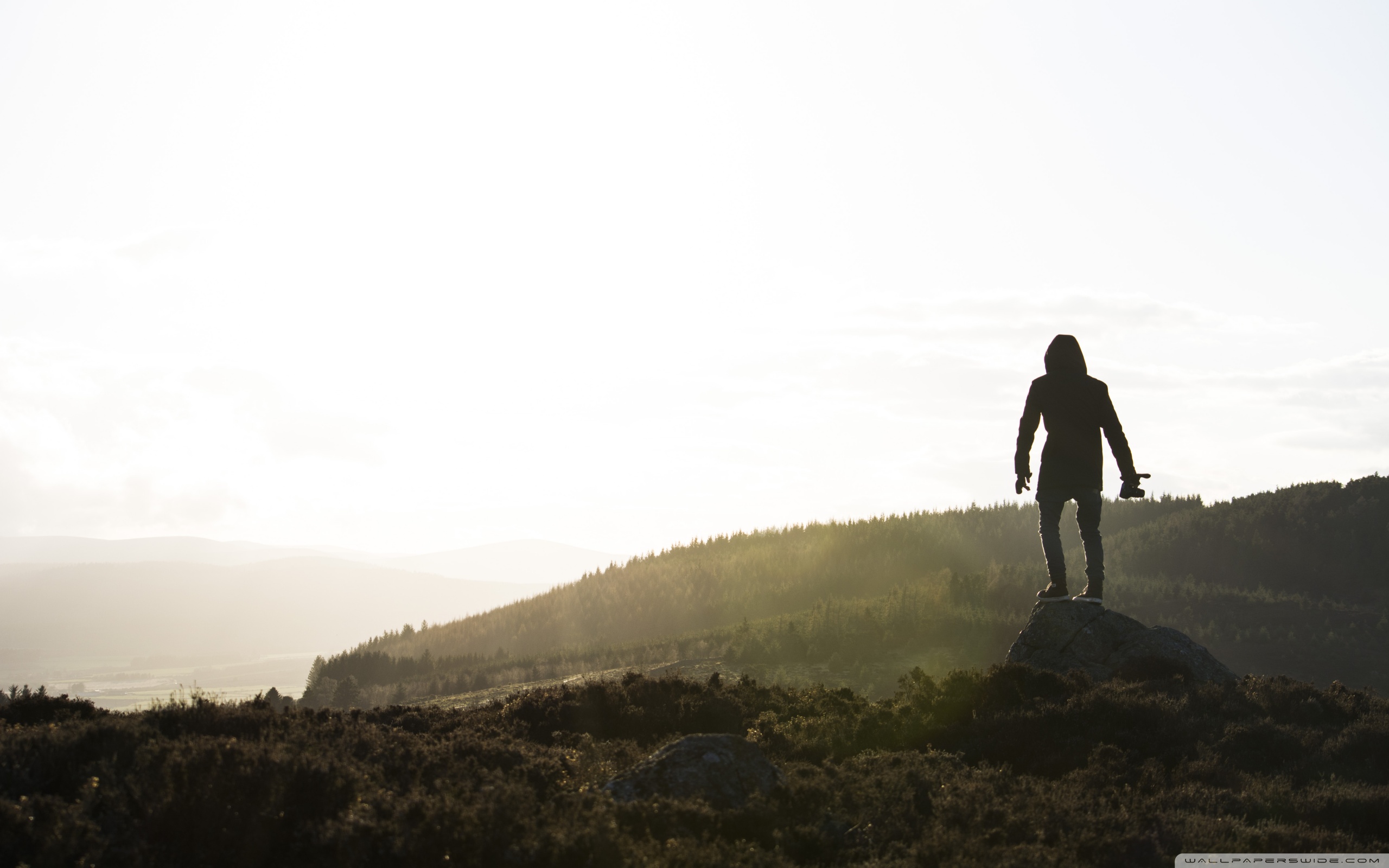 Silhouette - HD Wallpaper 