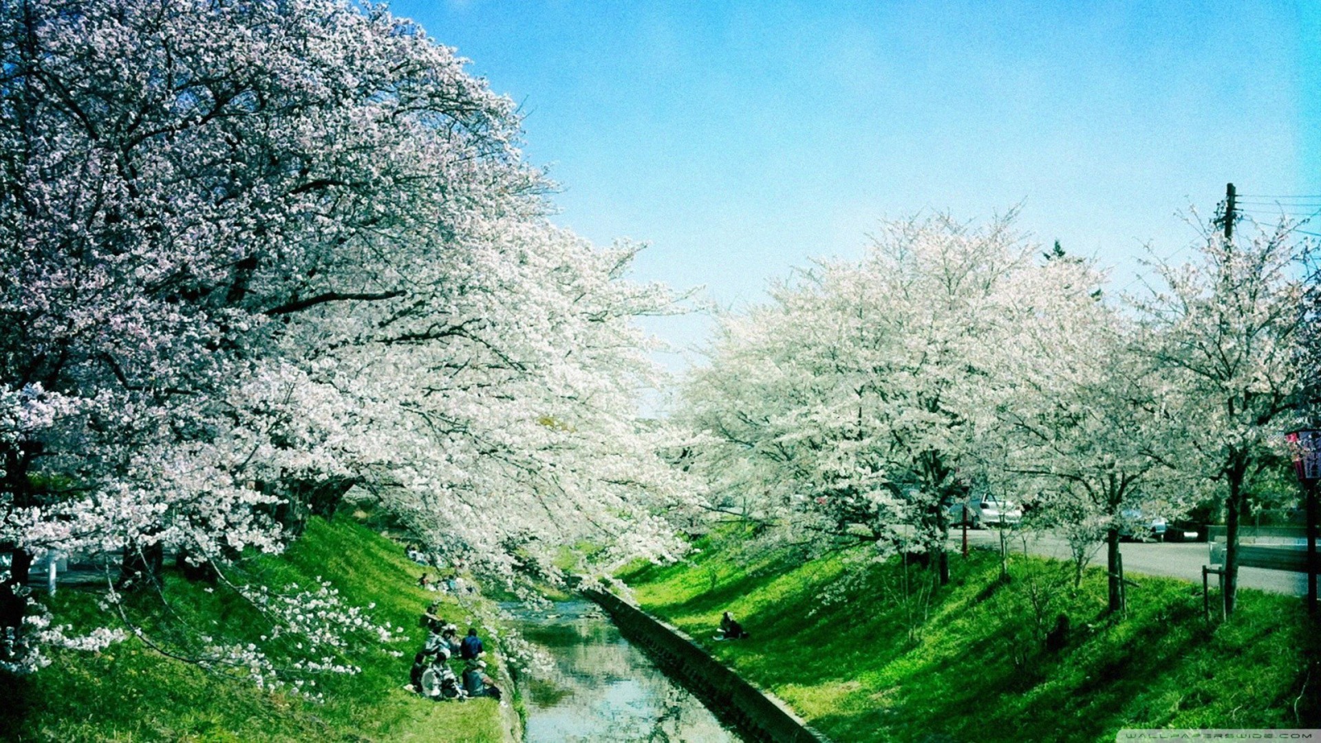 Spring Season Wallpaper For Android For Free Wallpaper - High Definition Spring - HD Wallpaper 