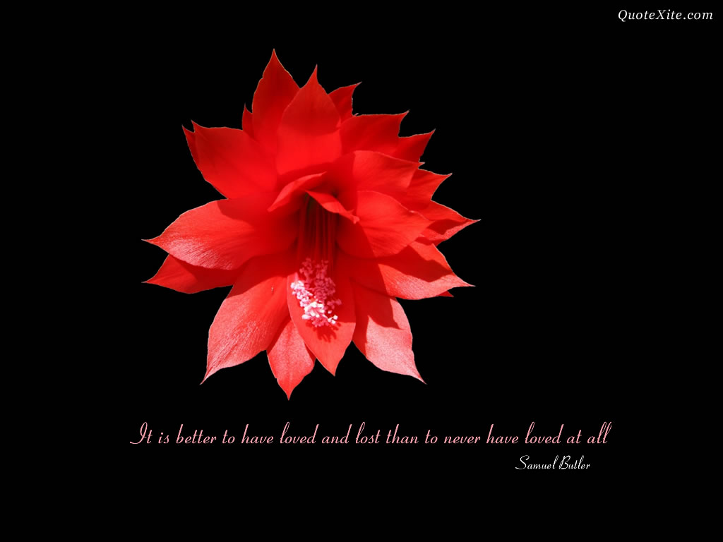 Quote Wallpaper5 Some Gud Quote Wallpapers - Inspirational Red Flower Quotes - HD Wallpaper 