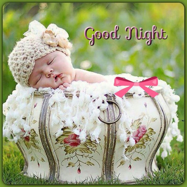 Good Night Hd Images Pictures - Beautiful Good Night Cute - HD Wallpaper 