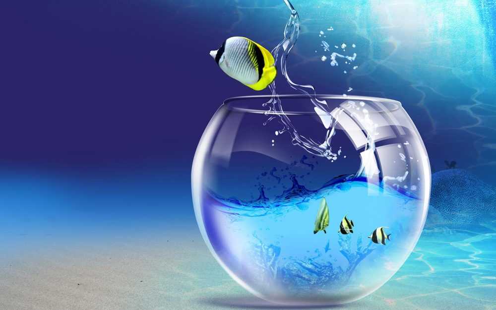 Full Screen Wallpaper Hd - HD Wallpaper 