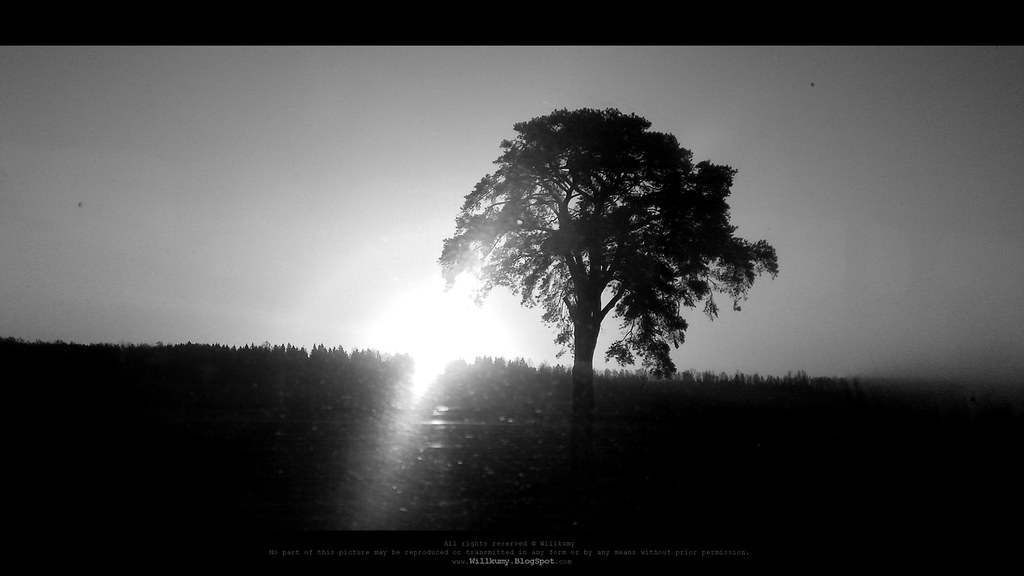 Monochrome - HD Wallpaper 