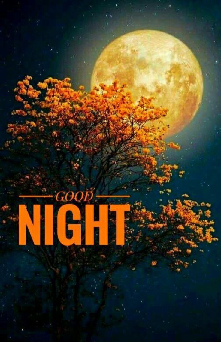 Fall Good Night Moon - HD Wallpaper 