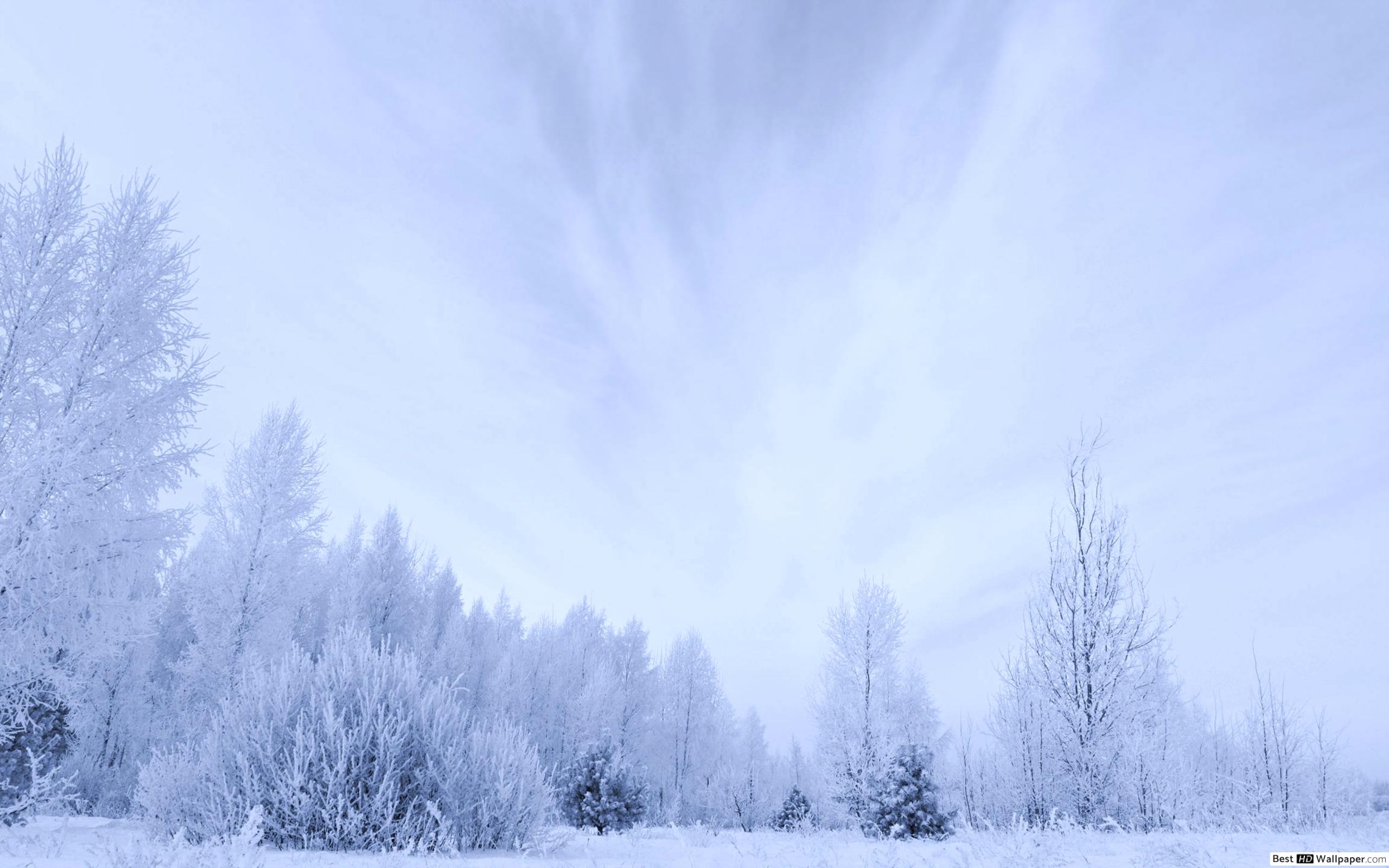 Winter - HD Wallpaper 