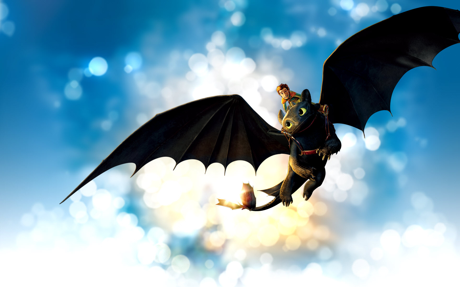 How To Train Your Dragon - Toothless How To Train Your Dragon Flying - HD Wallpaper 