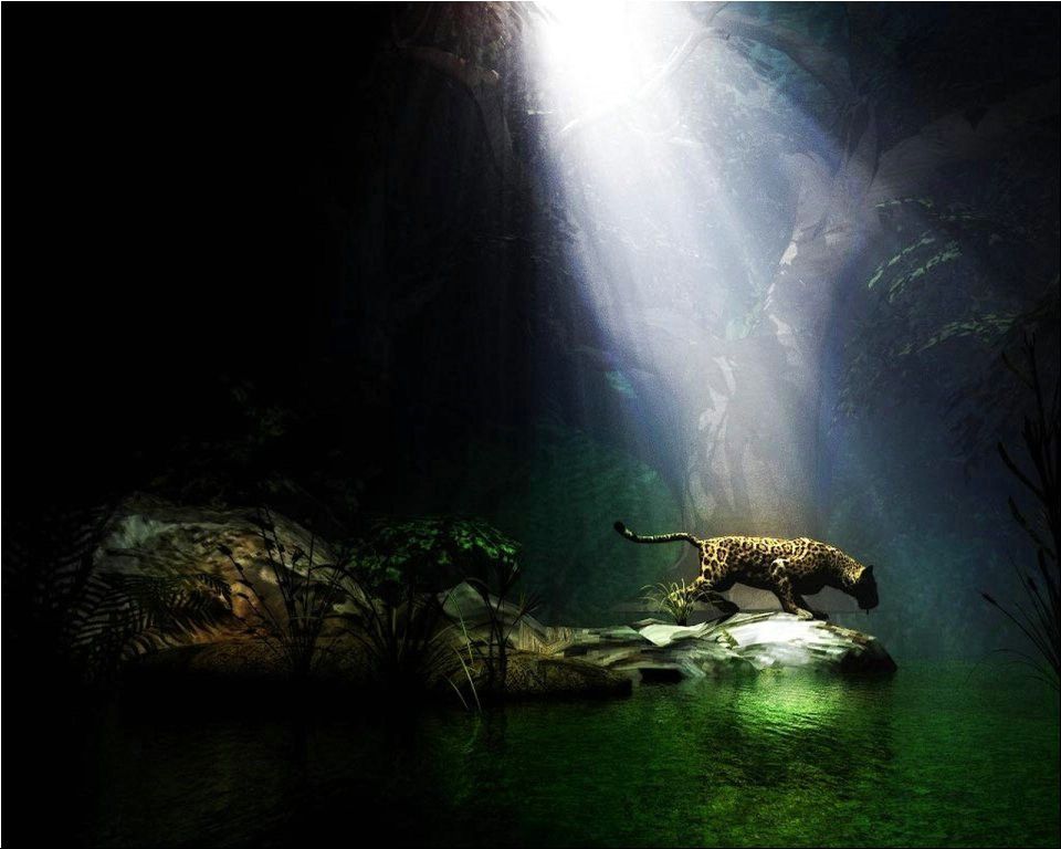 Best Pc Hd Wallpapers Group - Light In The Jungle - HD Wallpaper 