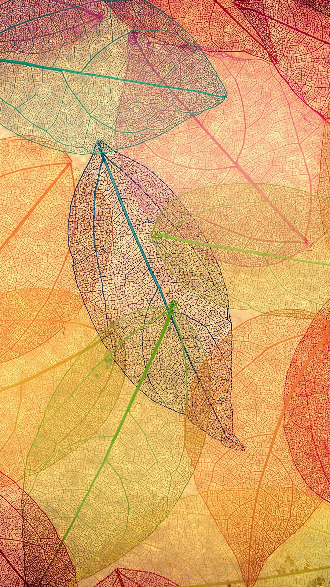 Fall Colors Iphone Background - HD Wallpaper 