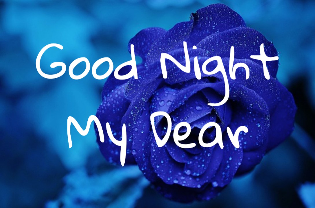 Goodnight Images With Quotes Goodnight Wallpaper Hd - Garden Roses - HD Wallpaper 