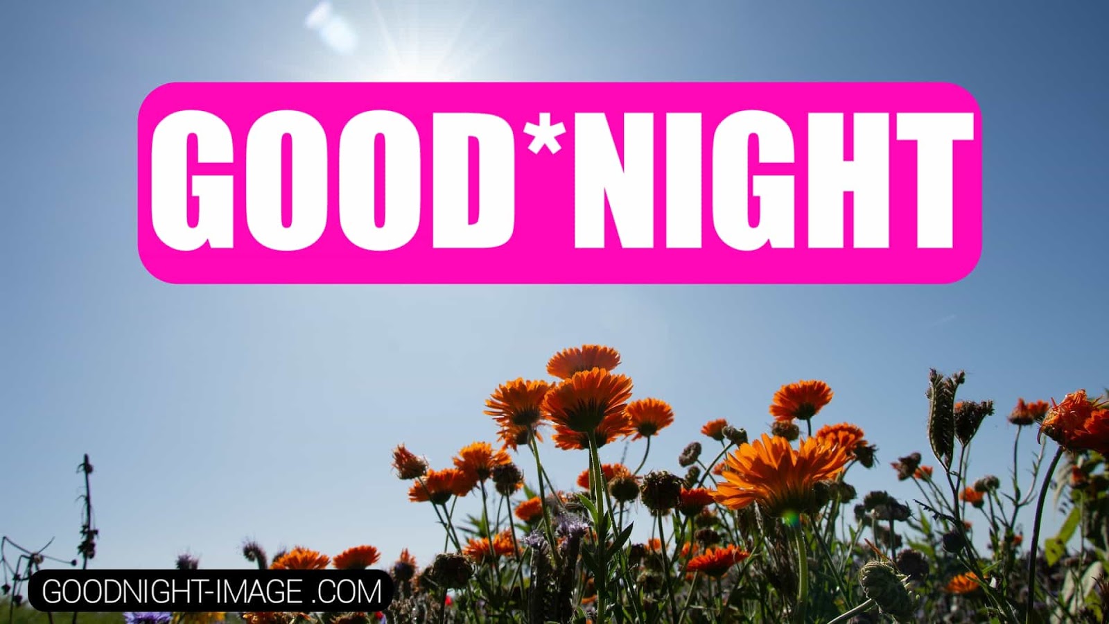 Latest Good Night Images, Pictures For Friends With - Goodnight Meme - HD Wallpaper 