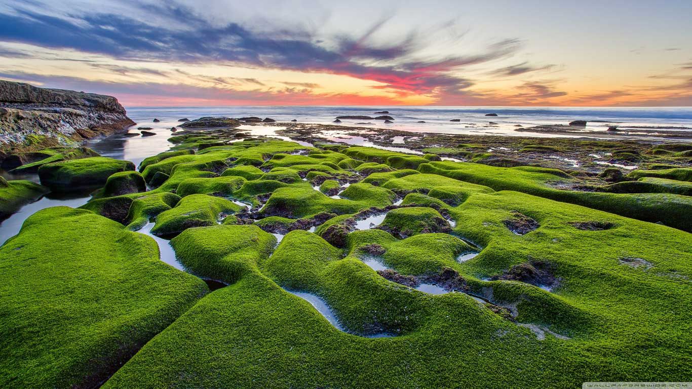 Wallpaper Of Love Hd S Wallpaper Wallpaper Hd Background - Most High Definition Picture In The World - HD Wallpaper 