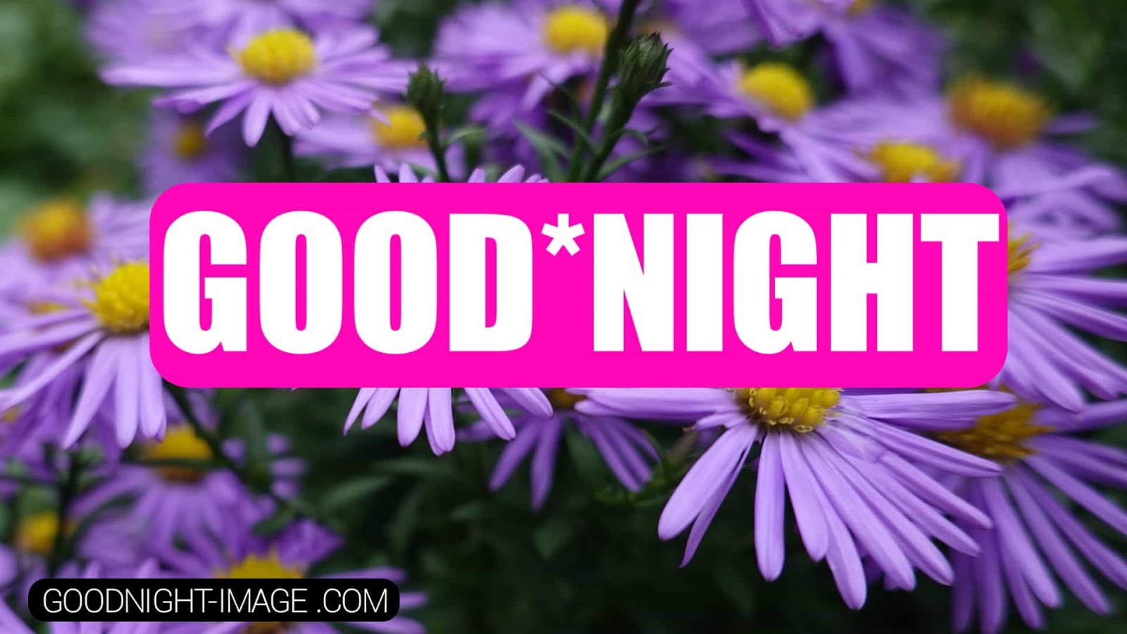 Latest Good Night Images, Pictures For Friends With - Dallas Cowboys Good Night - HD Wallpaper 