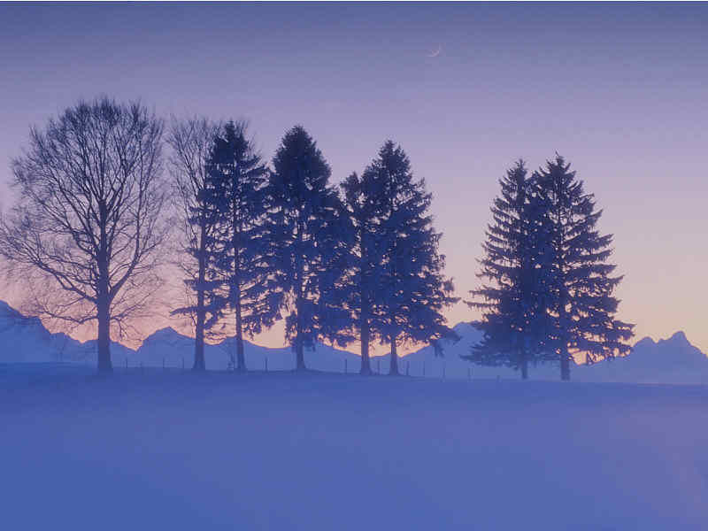 Count Your Blessings At Christmas - HD Wallpaper 