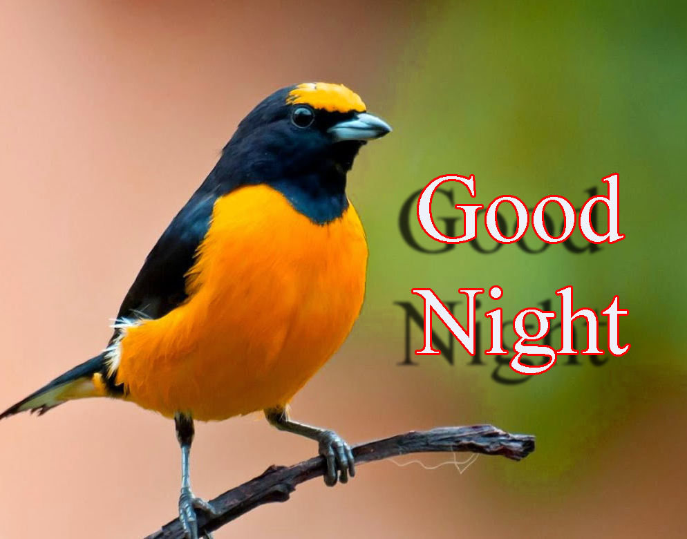 Life Is Hard But Not Impossible - HD Wallpaper 