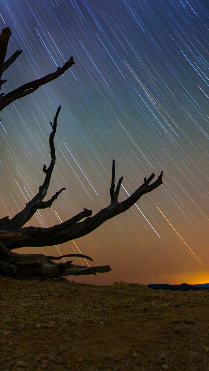 Bryce Canyon National Park Utah - HD Wallpaper 