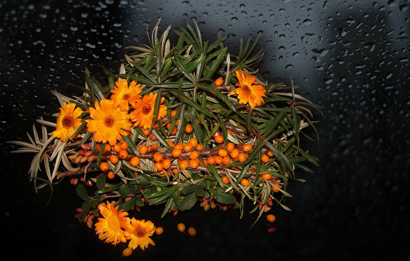 Photo Wallpaper Flowers, Nature, Mood, Chamomile, Beauty, - Caesalpinia - HD Wallpaper 