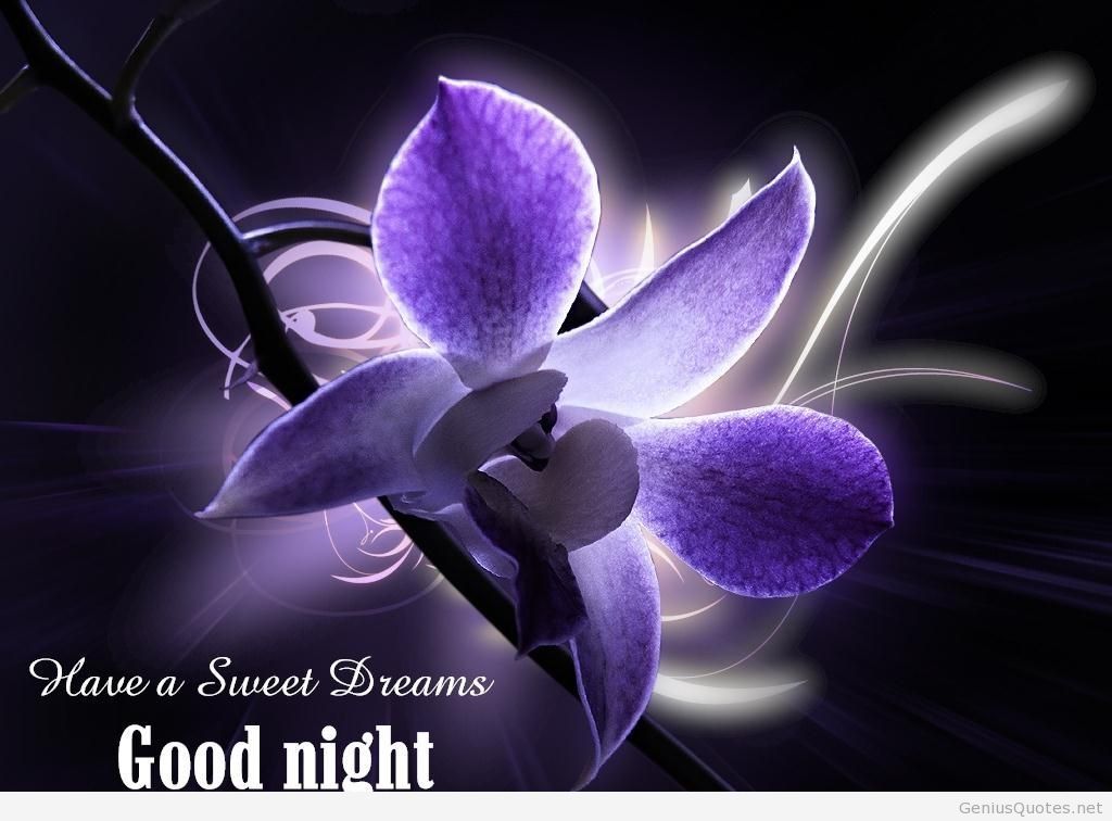 Good Night Quotes And Sweet Dreams Images For A Good - Sweet Dreams Good Night Hd Image Download - HD Wallpaper 