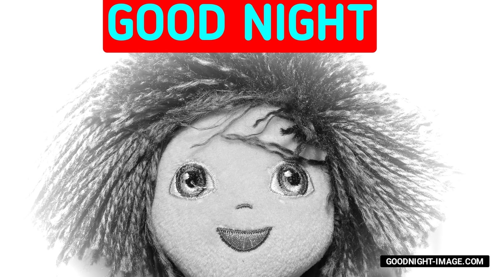 Funny Good Night Wishes Dog - Doll - HD Wallpaper 