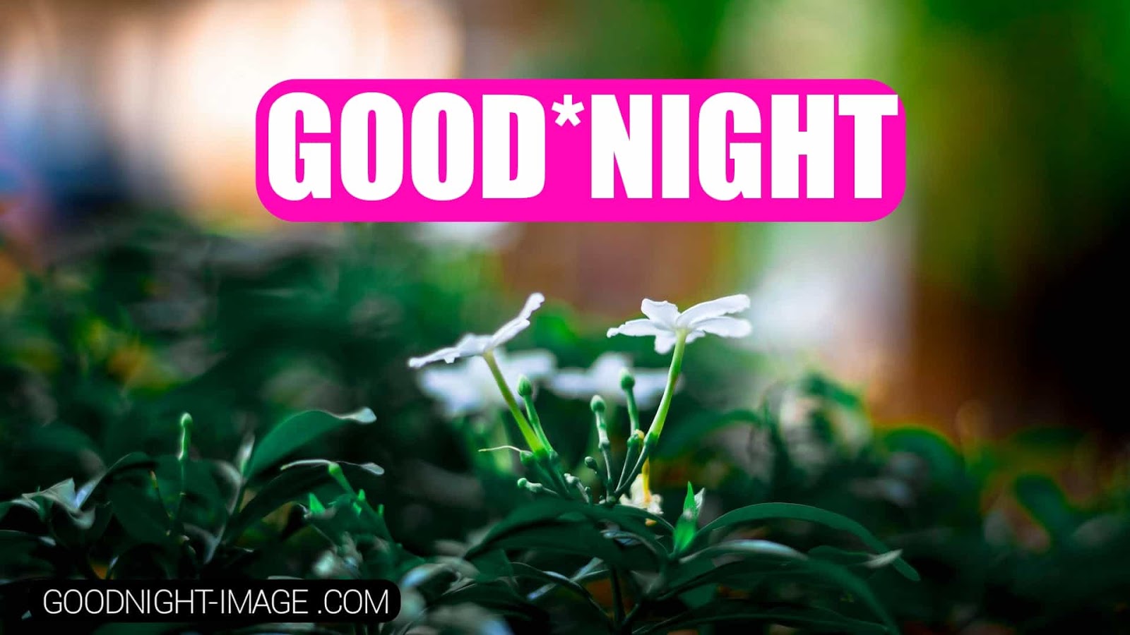 Latest Good Night Images, Pictures For Friends With - Forever Alone Dinner For Two - HD Wallpaper 