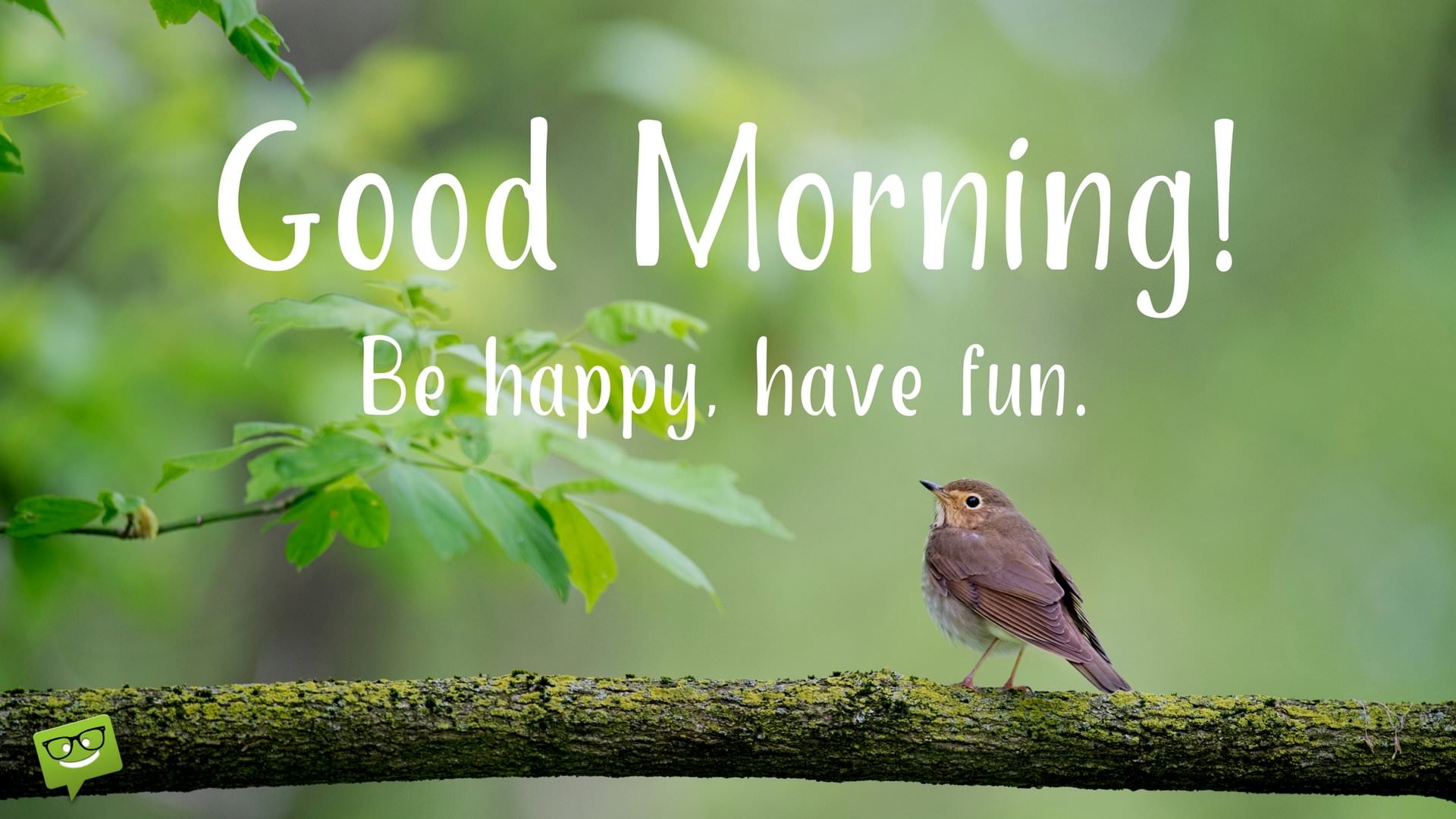 Be Happy, Have Fun - Good Morning Images Birds Hd - HD Wallpaper 