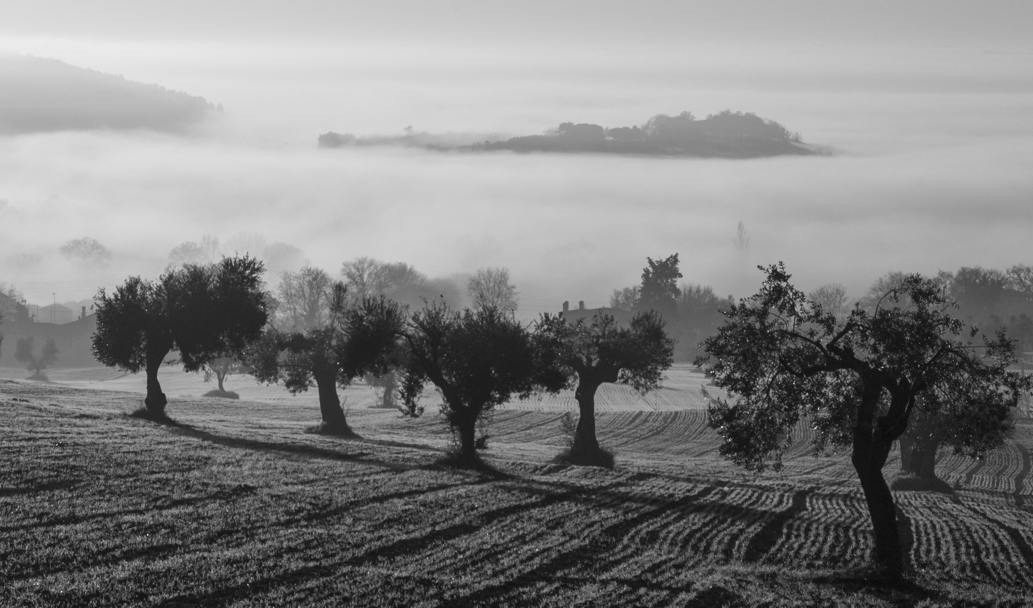 Monochrome - HD Wallpaper 