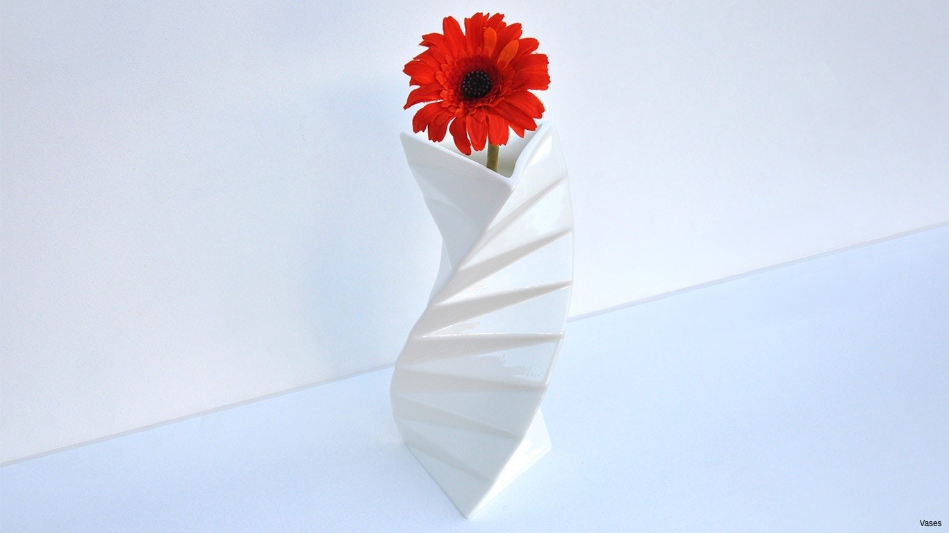 Nice And Beautiful Wallpapers - Barberton Daisy - HD Wallpaper 