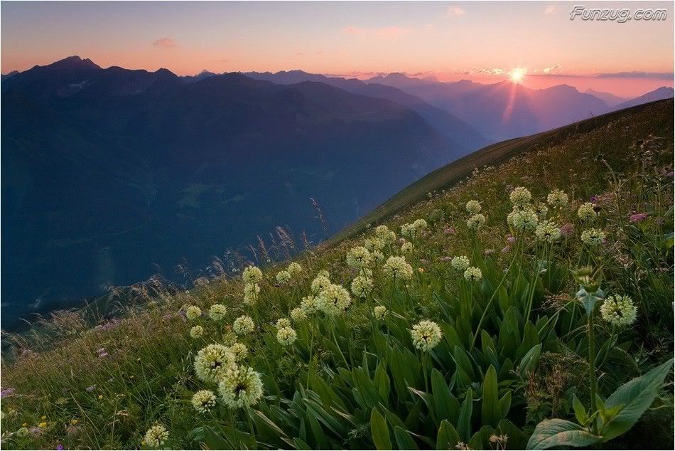 Click To Enlarge - Yo Te Instruire Y Te Mostrare El Camino Que Debes Seguir - HD Wallpaper 