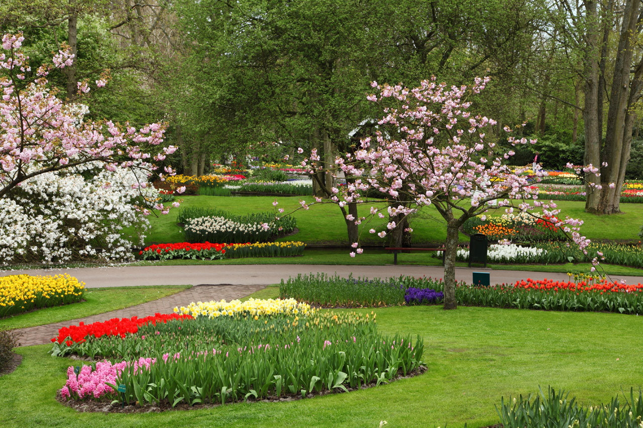 Flower Garden Image Download - HD Wallpaper 