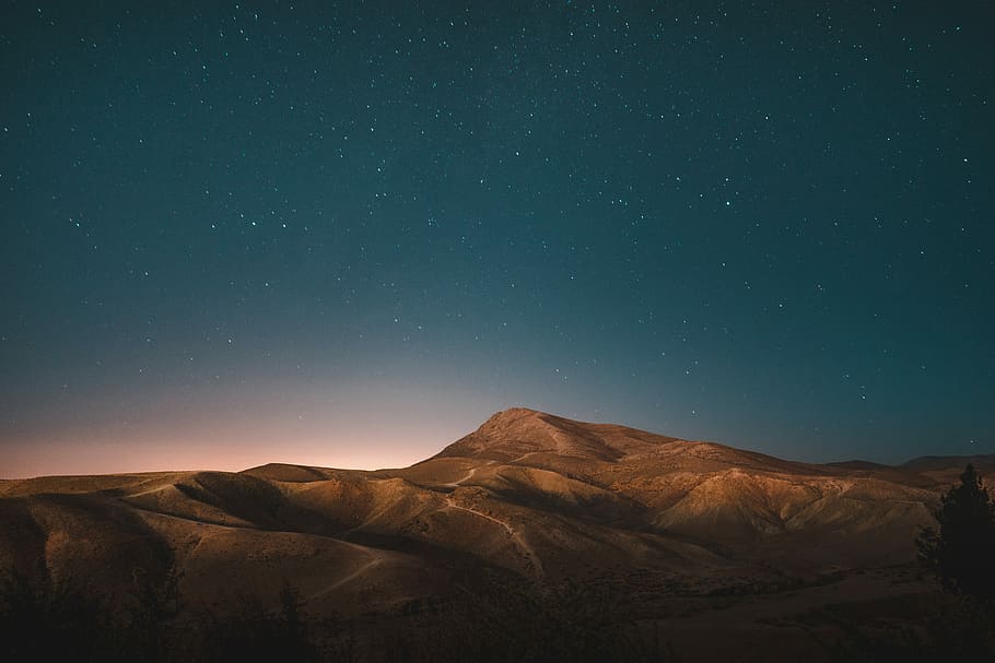 Wisdom Is Oftentimes Nearer When We Stoop Than When - HD Wallpaper 