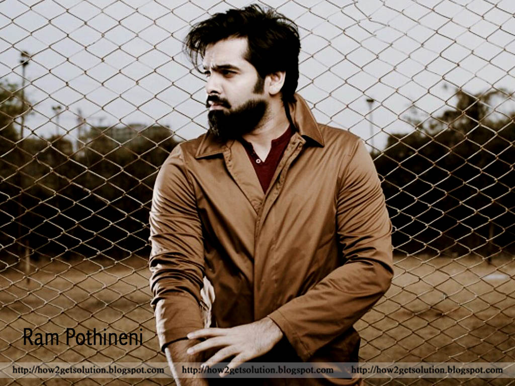 1 Dilwala Hero Pic, Ram Pothineni Latest Image In Beard - Ram Pothineni New Look - HD Wallpaper 