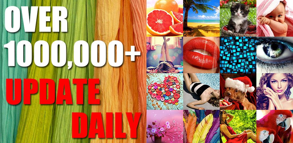 Wallpaper - HD Wallpaper 