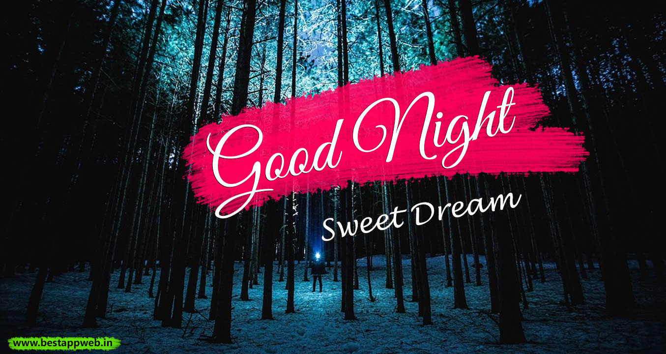 Good Night Image - Ночь Лес - HD Wallpaper 