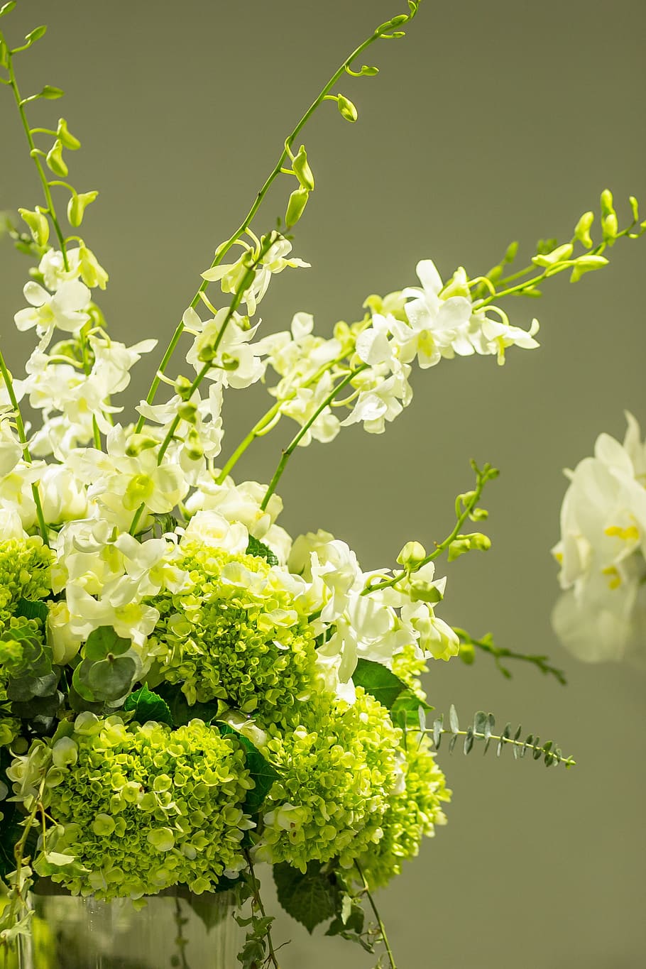 Flower, Nice, Blooming, Beautiful, Fresh, Beautiful - Nice Flower - HD Wallpaper 