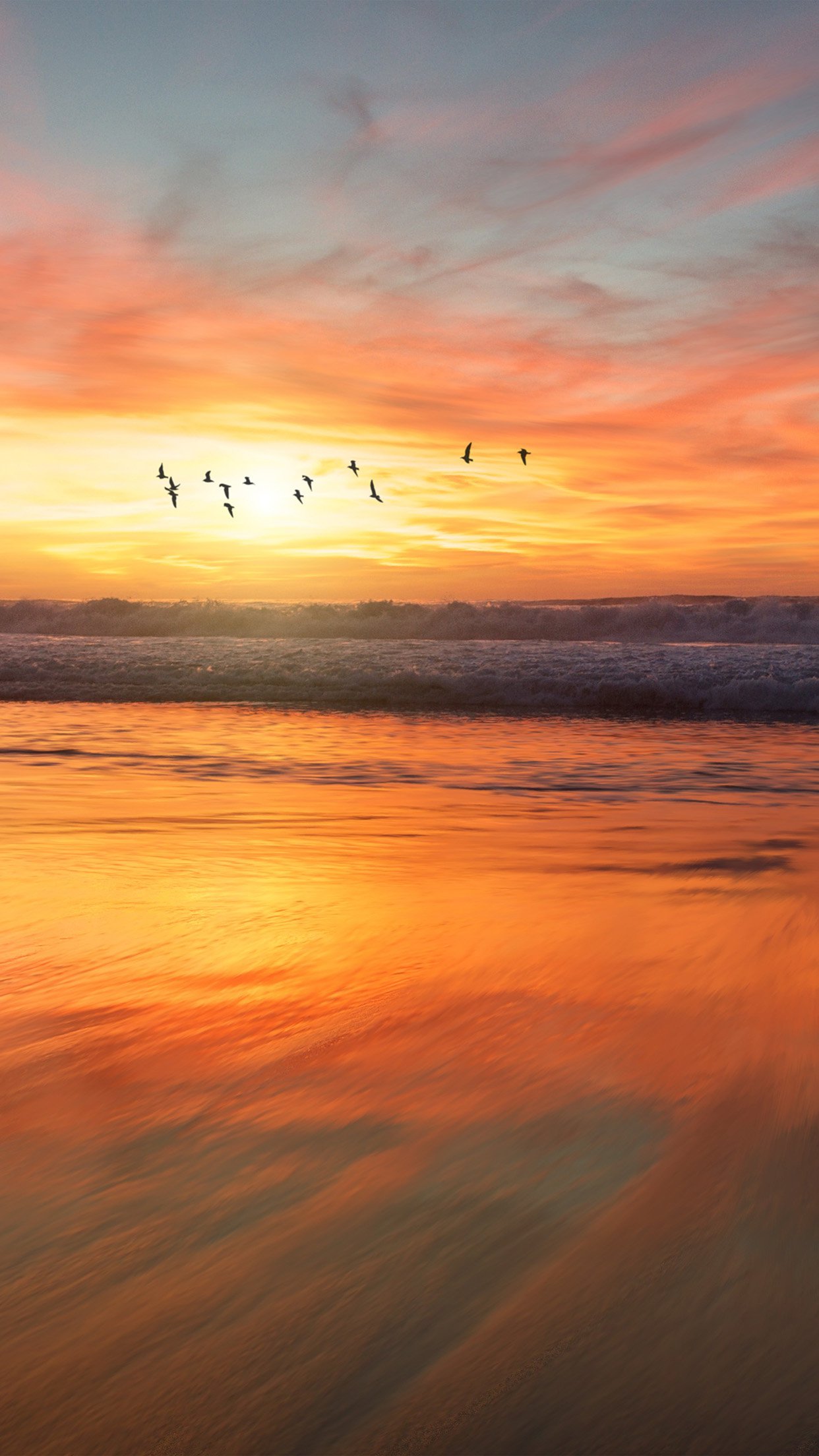 Sunset Sea Nature Orange Summer Sky Bird Android Wallpaper - Iphone X Sunset Wallpapers Hd - HD Wallpaper 