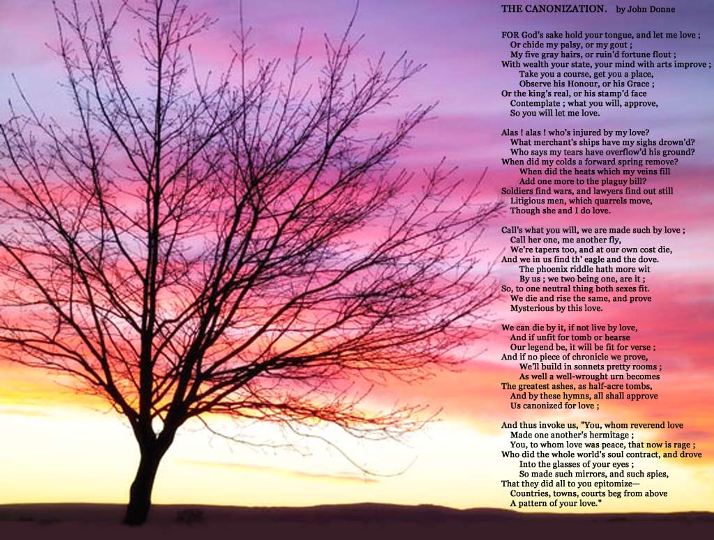 Canonization Stanza By Stanza - HD Wallpaper 