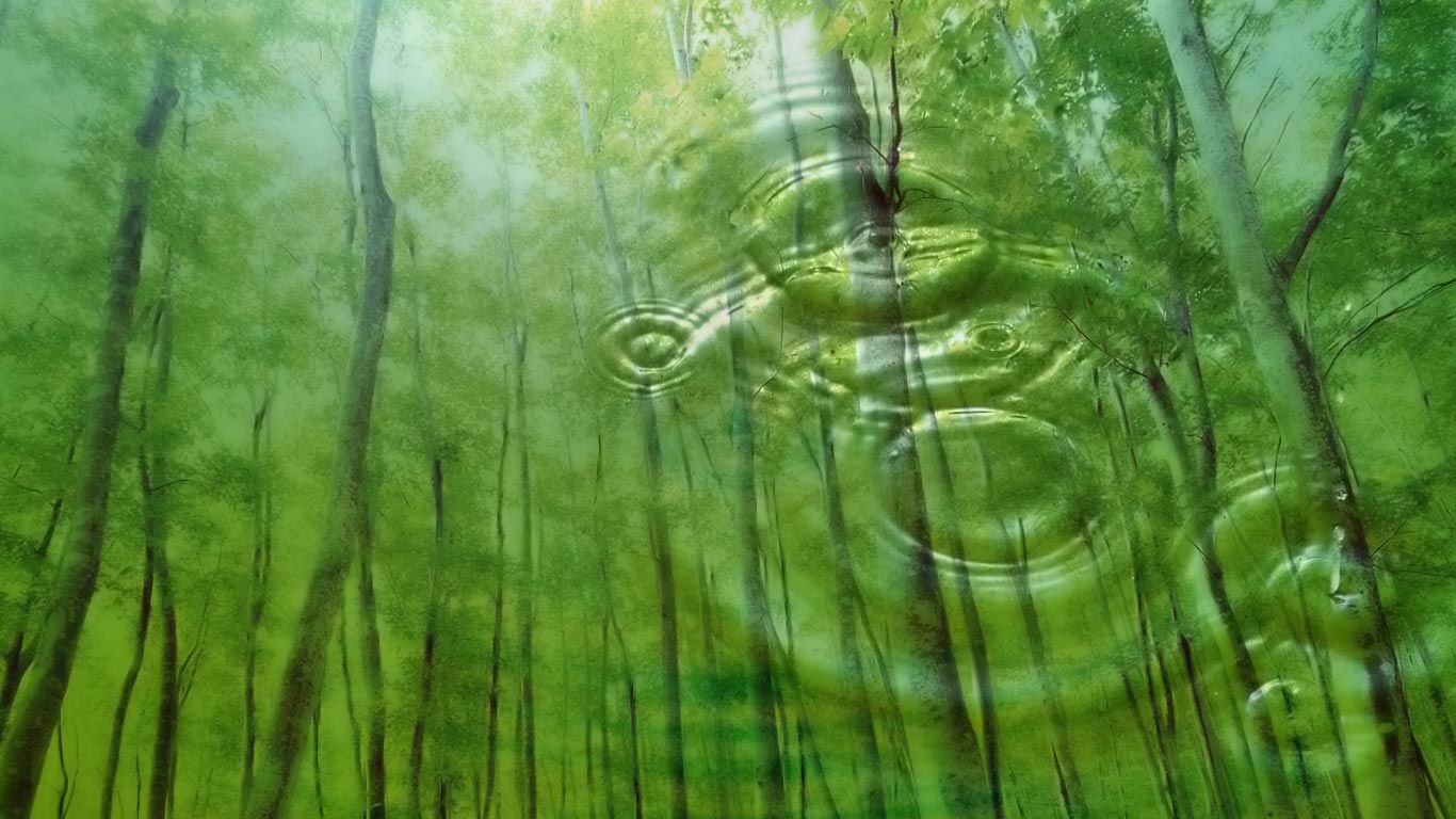 Live Nature Wallpaper For Windows 7 - 1366x768 Wallpaper Live Nature Wallpaper For Windows 7 - 1366x768 Wallpaper