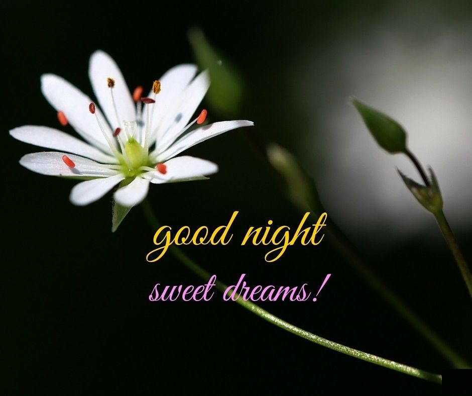 Good Night New Hd - HD Wallpaper 