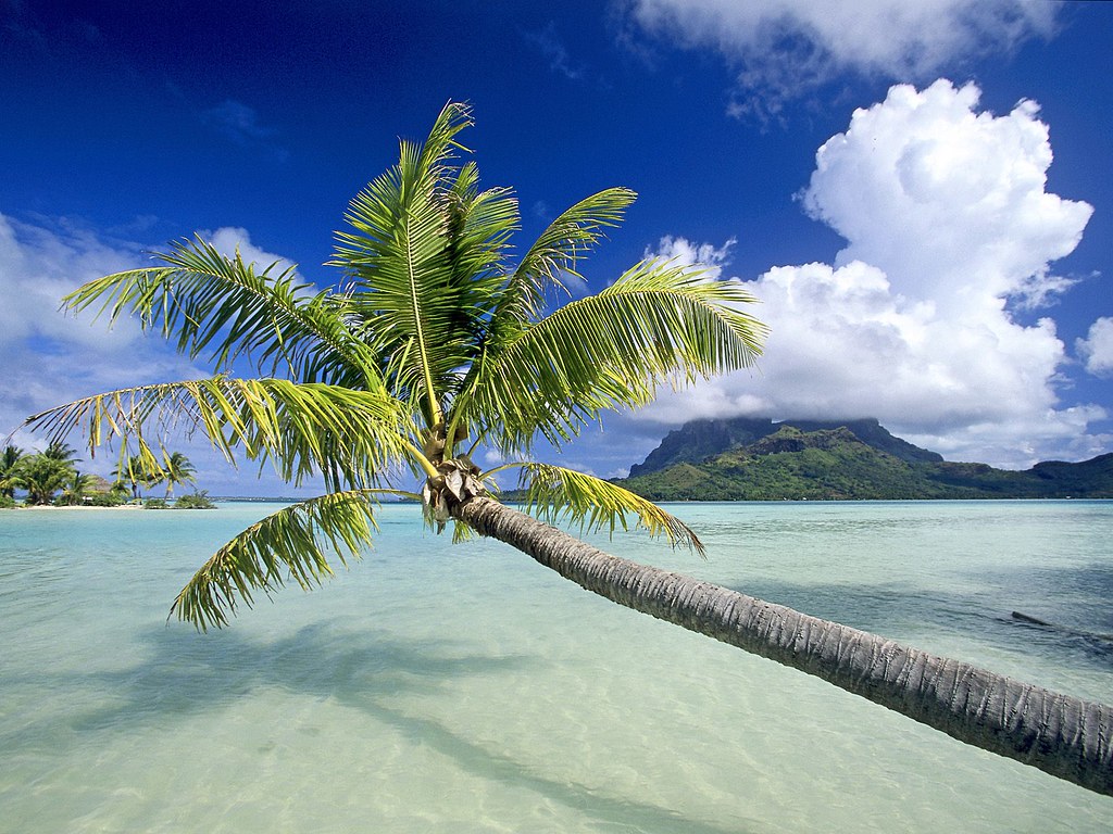 World Best Wallpaper Download - HD Wallpaper 
