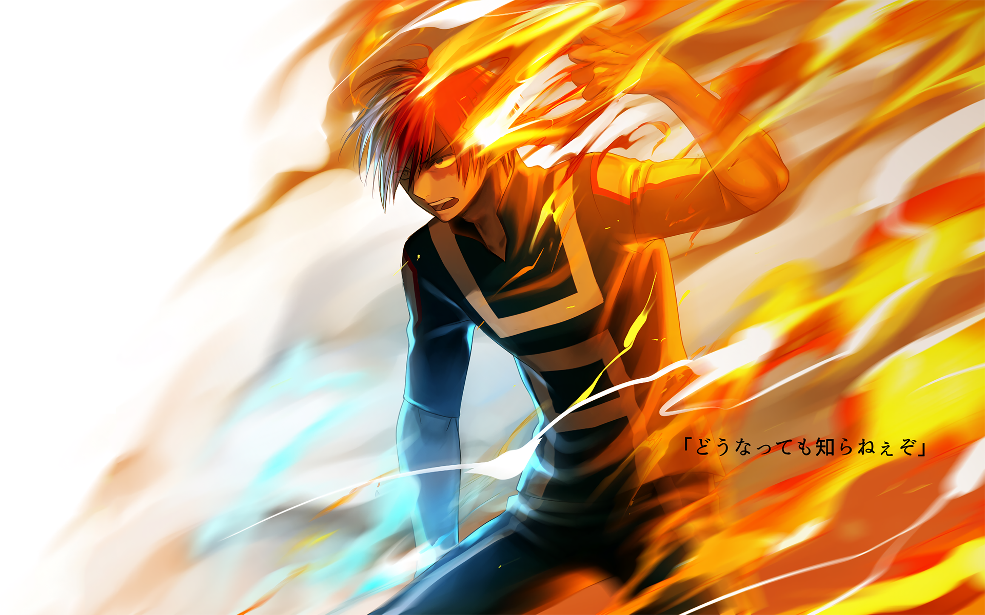 My Hero Academia Shouto - HD Wallpaper 